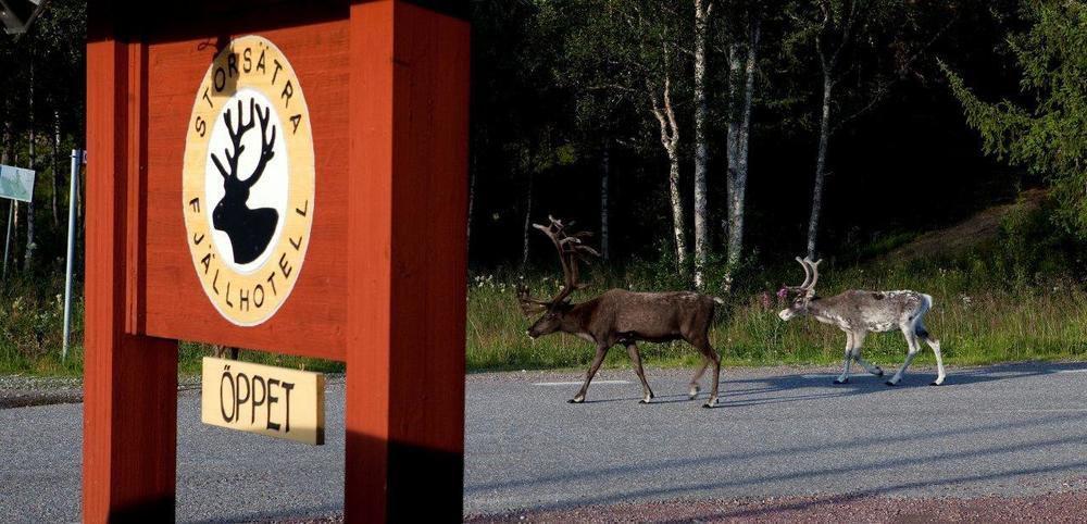 Storsaetra Fjaellhotell Grövelsjön Zewnętrze zdjęcie